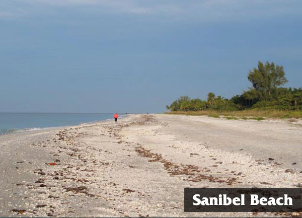 Sanibel-Beach