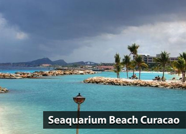 Seaquarium-Beach