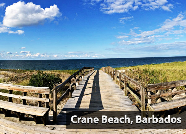 crane-beach-barbados