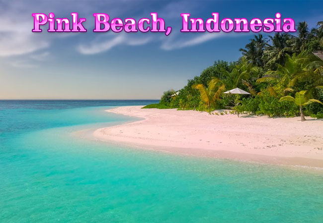 pink-beach-indonesia