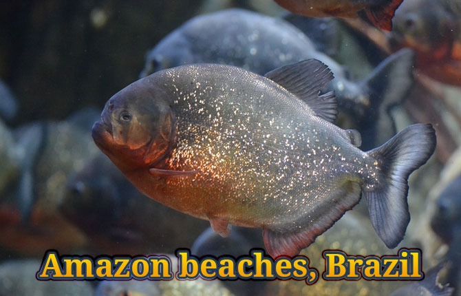Amazon-beaches-Brazil
