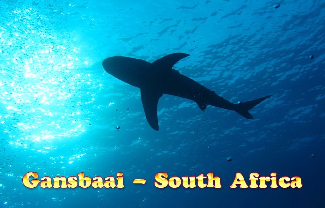 Gansbaai-South-Africa