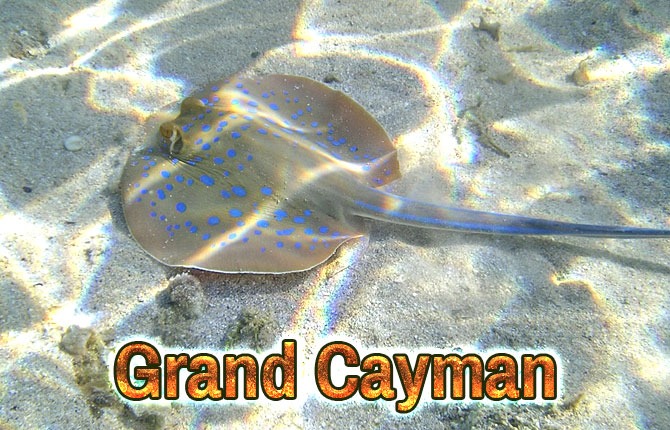 Grand-Cayman
