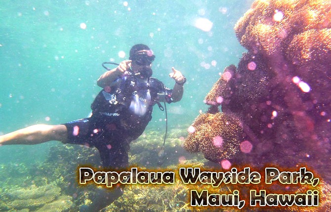 Papalaua-Wayside-Park-Maui-Hawaii