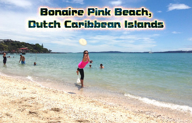 Bonaire Pink Beach