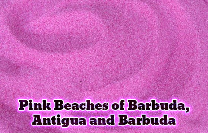 Pink Beaches of Barbuda