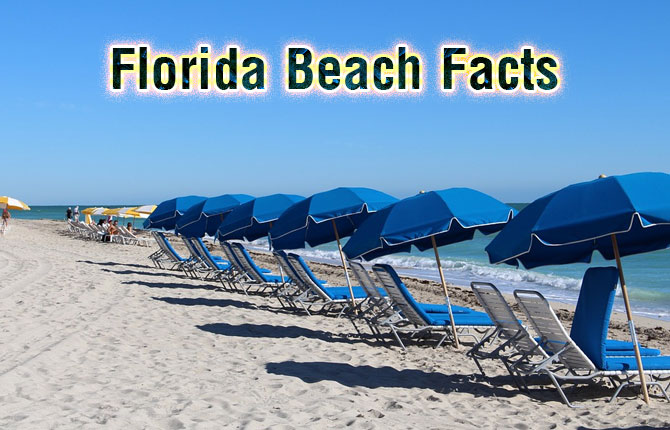 2-florida-beach-facts