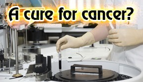A cure for cancer