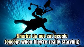Sharks do not eat people (except when they're really starving)
