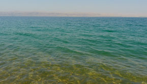 Life forms can still exist in the Dead Sea