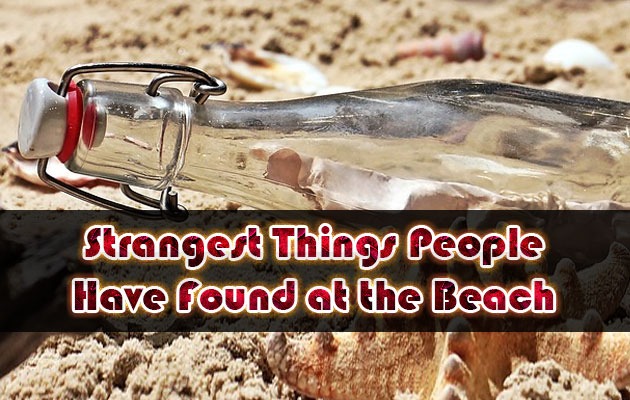 Strangest Things People Have Found at the Beach