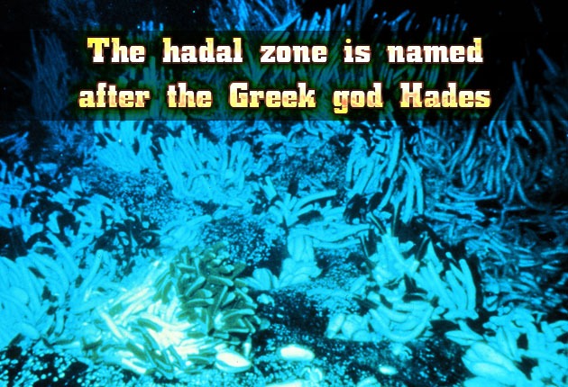 The hadal zone is named after the Greek god Hades