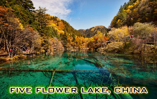 Five Flower Lake, China