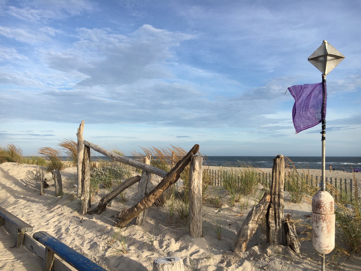 a purple flag attached to a pole at a Robert Moses State Park beach